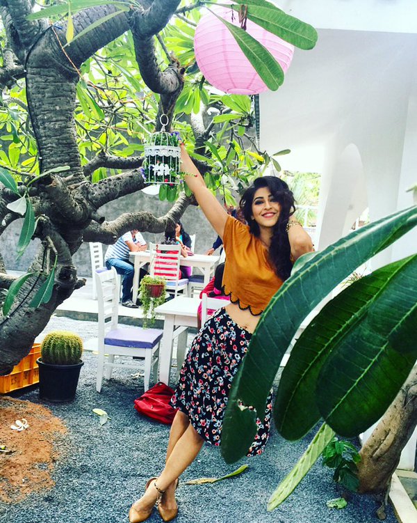 Speedunnodu heroine, Sonarika Bhadoria, Sonarika Bhadoria Speedunnodu