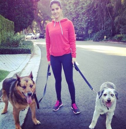 Sunny Leone Pictures, Sunny Leone Without Makeup, Sunny Leone, Sunny Leone Photos, Entertainment