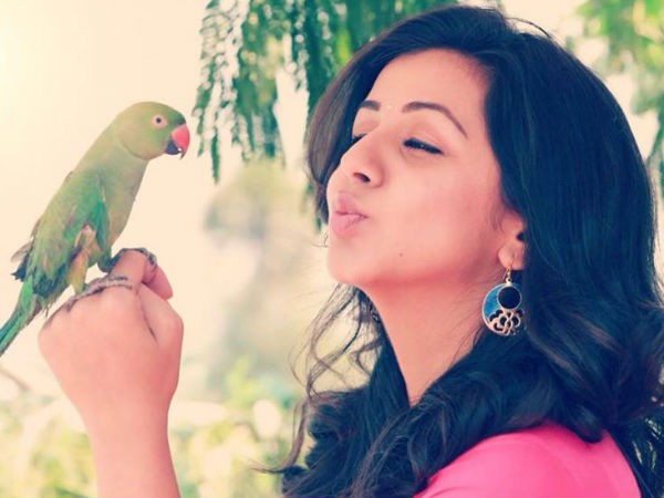 Actress Nikki Galrani KO 2 Heroine Photos, Images 