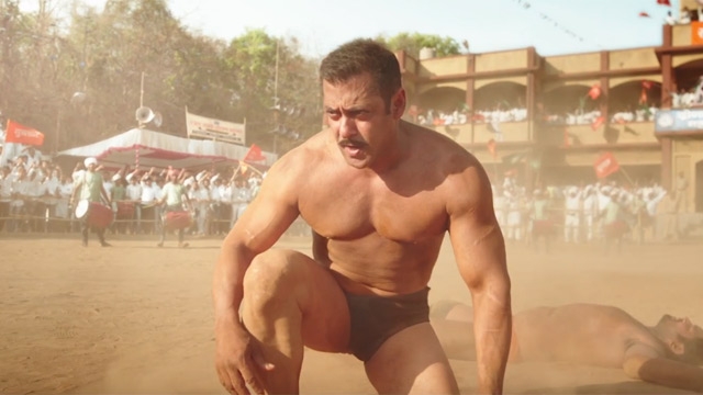 Sultan Movie Hit or Flop Verdict